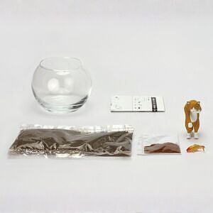 じゃれ猫水草鉢 白 4