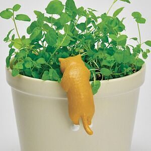 じゃれ猫水草鉢 白 5