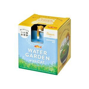 じゃれ猫水草鉢 茶ハチワレ