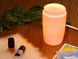 セラミックアロマライト リッド 2