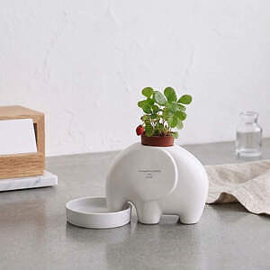 エレプラント 5