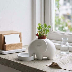 エレプラント 6