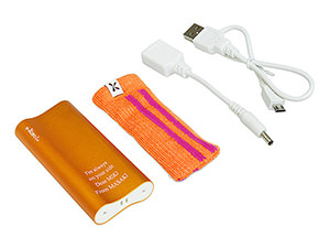 イーカイロエル シャンパンゴールド 4