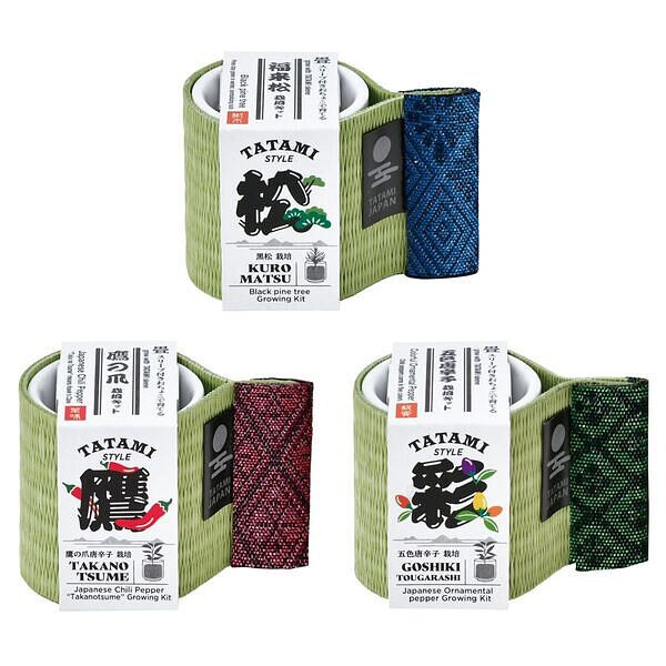 お芽でたおちょこ 畳 3種栽培セット