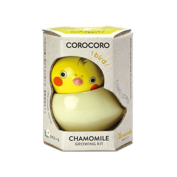 コロコロバード オカメ カモミール