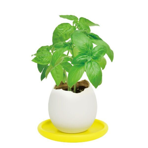 エッグリング＆ソーサー バジル