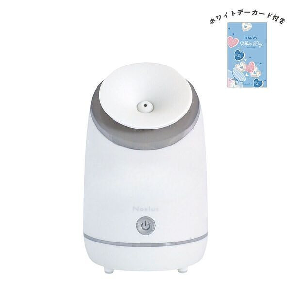 コンパクトフェイシャルスチーマー ホワイトデーカード付