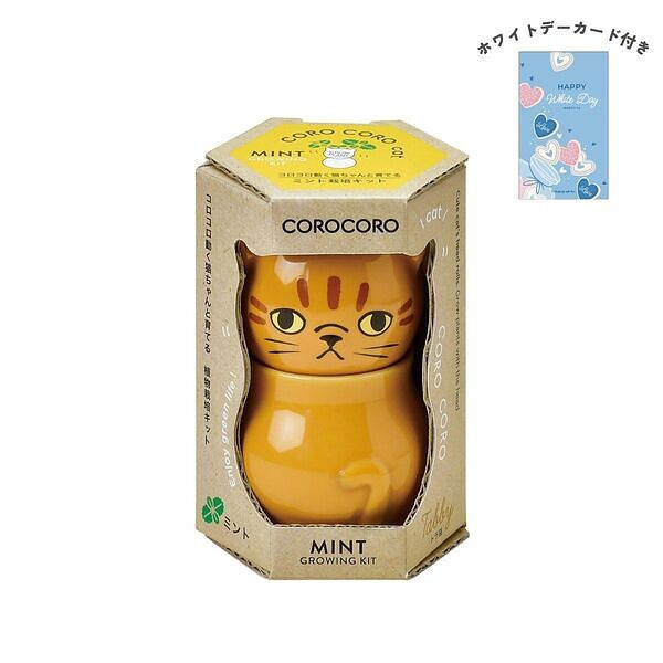 コロコロキャット 茶 ミント ホワイトデーカード付