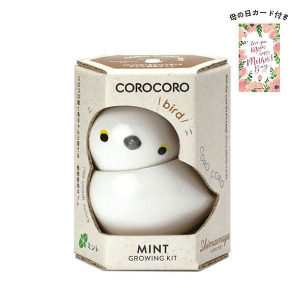 コロコロバード シマエナガ ミント 母の日カード付